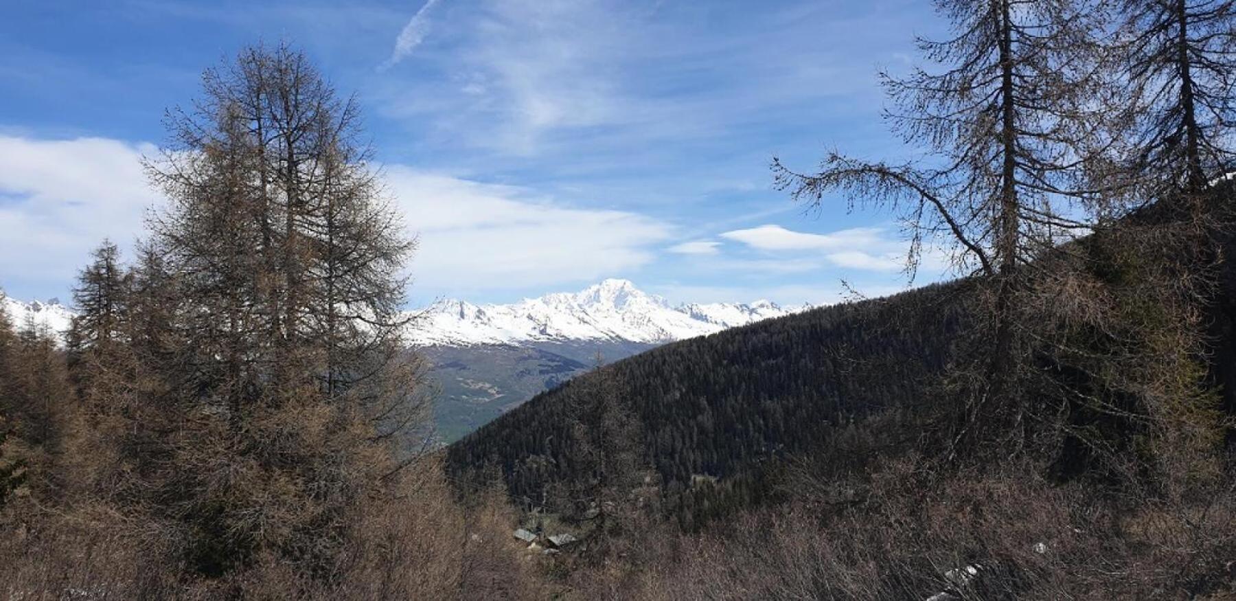 Residence Plagne Lauze - Maeva Home - Studio 2 Personnes - Selection Mae-9201 Macot-la-Plagne Exteriör bild
